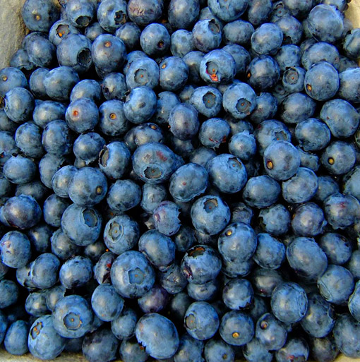Blau Blau