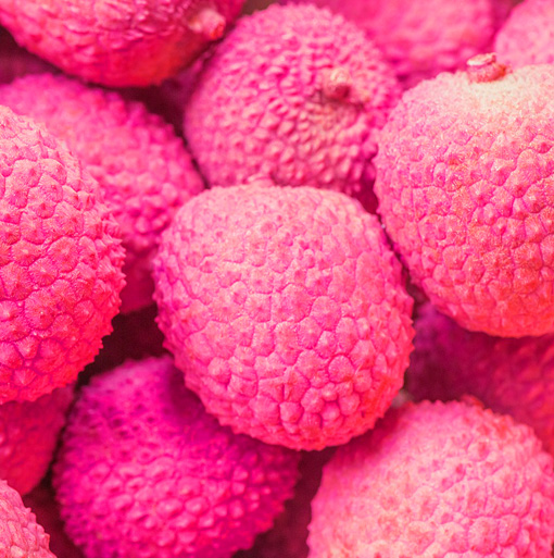Pink Pink 1