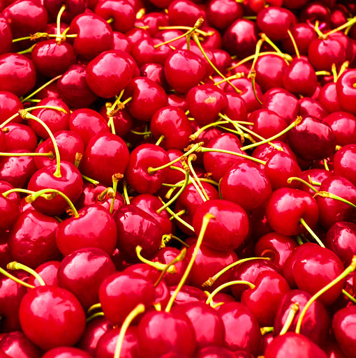 Rot Rot